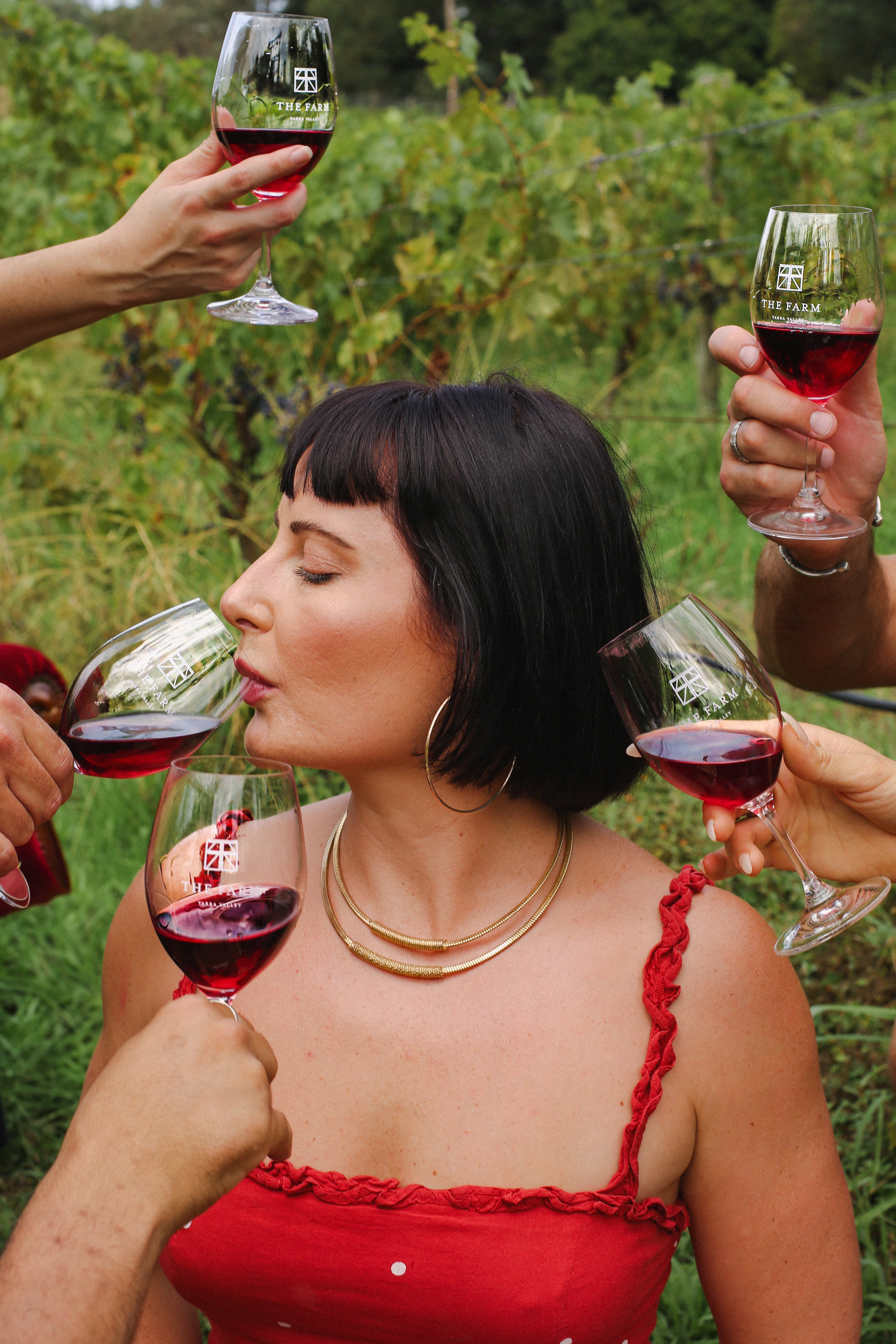 ¡SiPi! | Grenache Launch Party