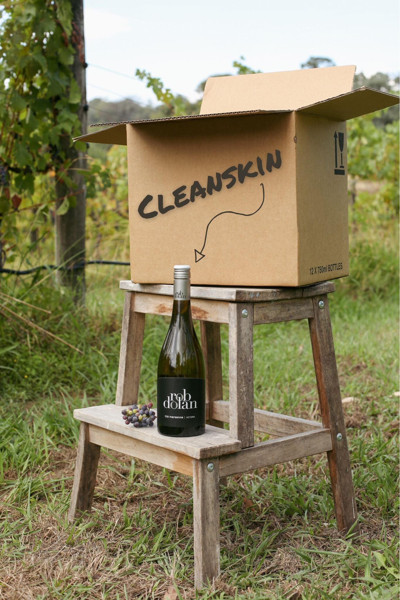 2022 Black Label Marsanne Cleanskin | Case of 12