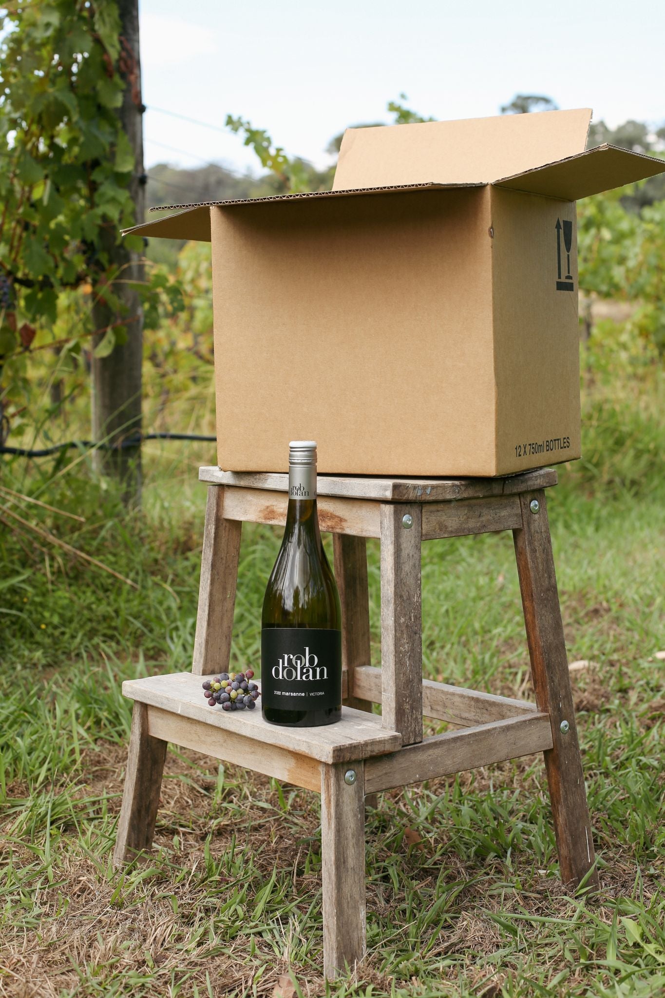 2022 Black Label Marsanne | Case of 12