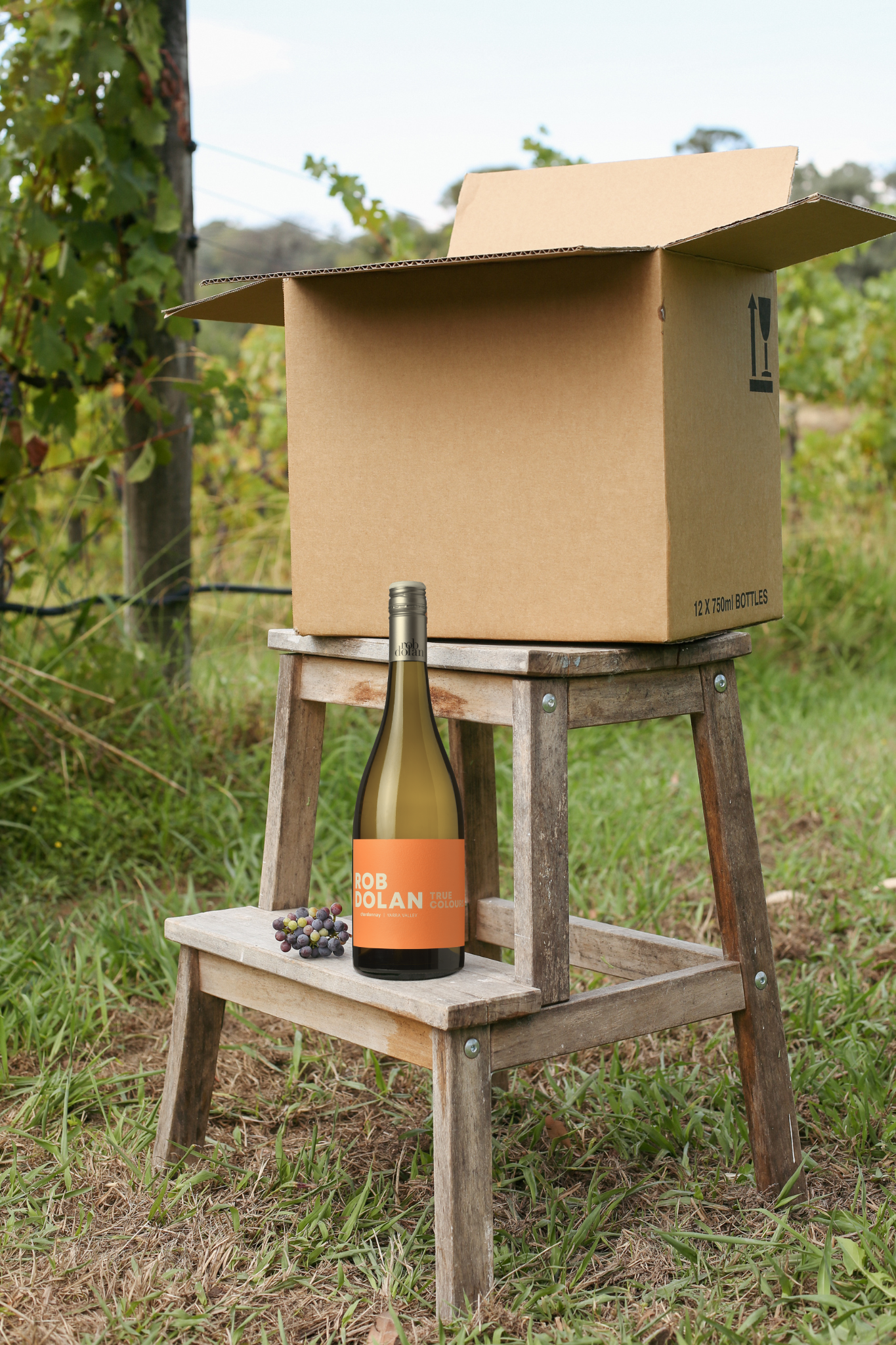 2023 True Colours Chardonnay | Case of 12