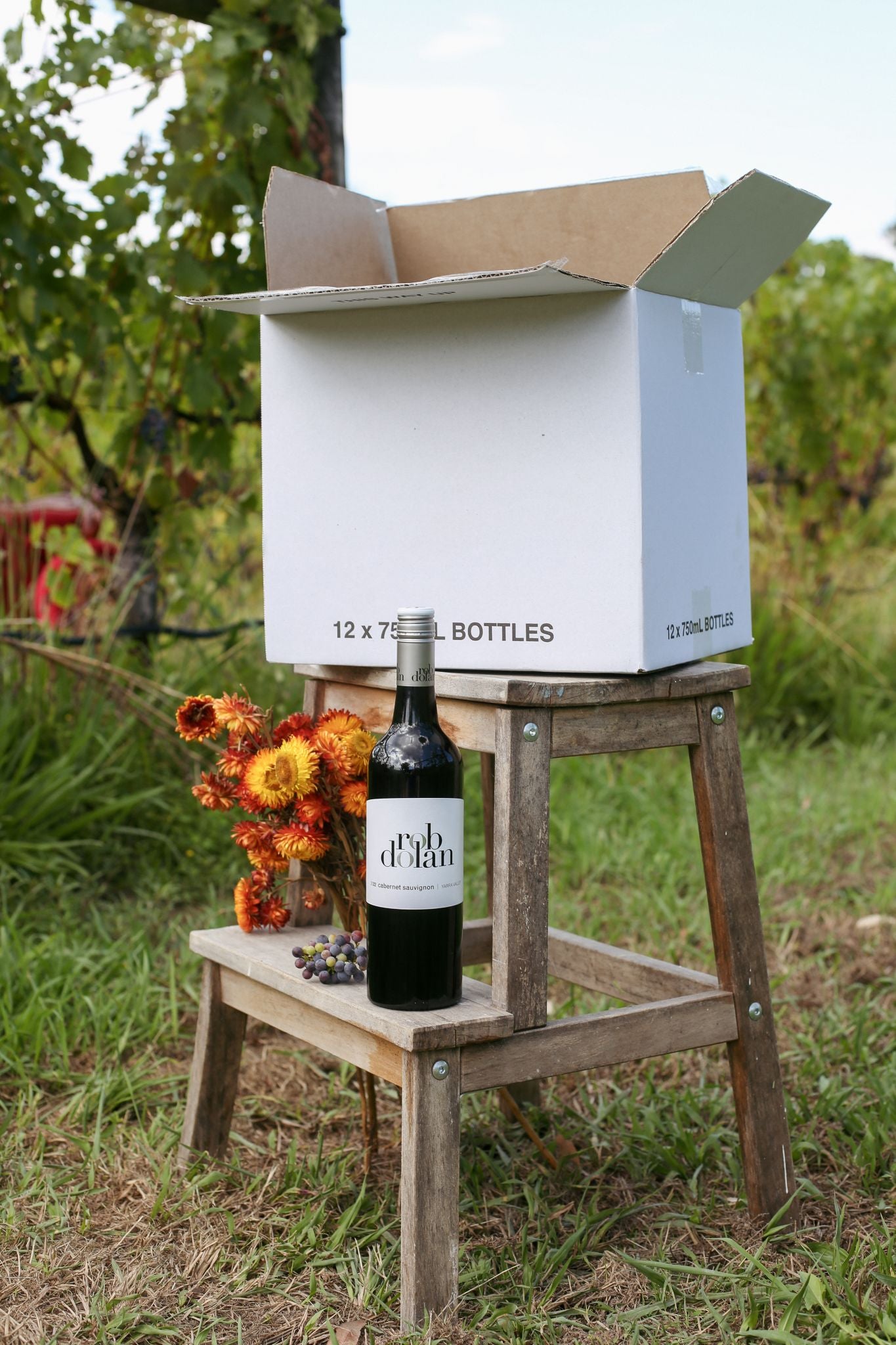 2022 White Label Cabernet Sauvignon | Case of 12